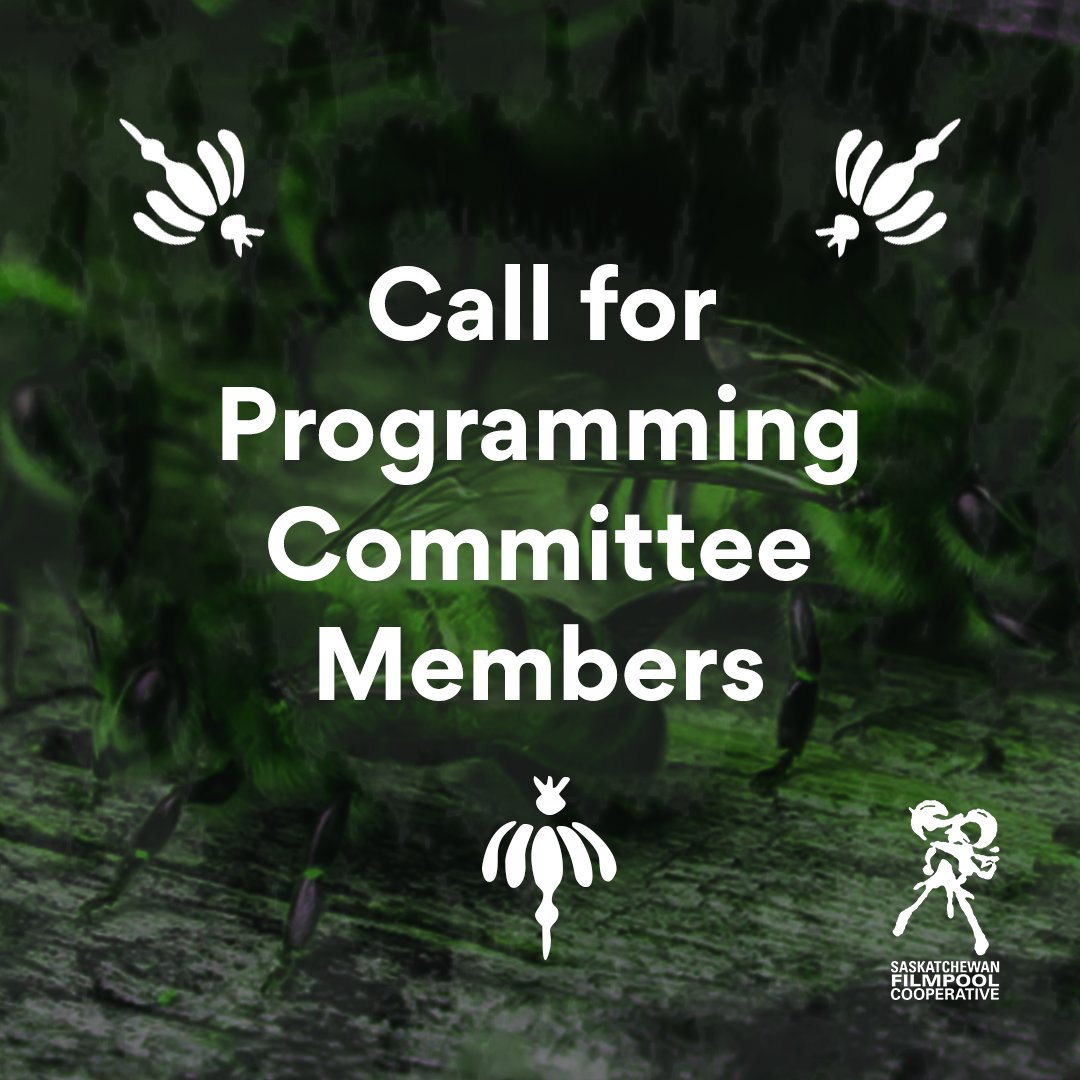 Saskatchewan Filmpool tweet media