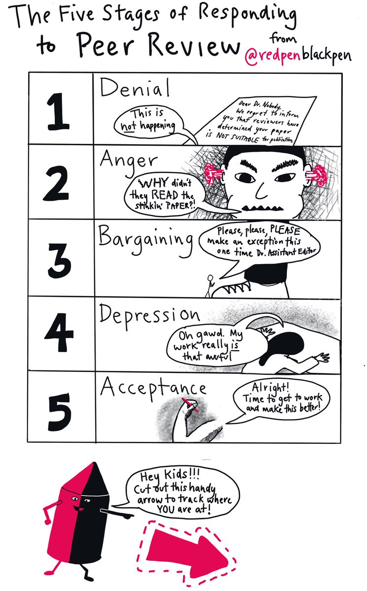 The five stages of responding to peer review.