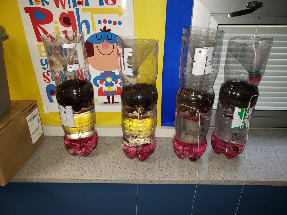 Team Rise is expanding their understanding of ecosystems.