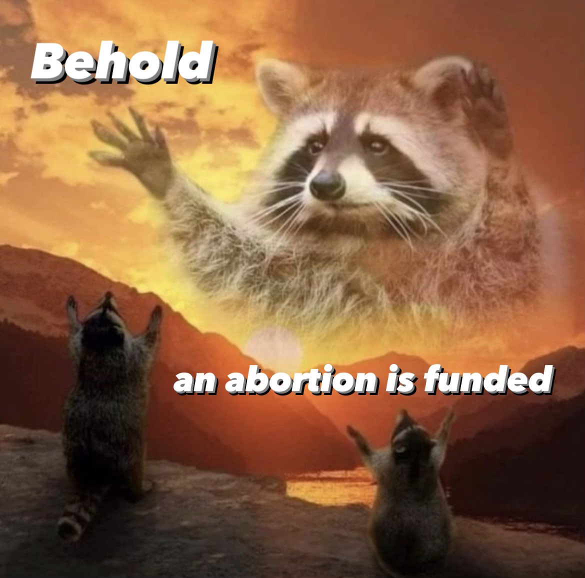 Behold 🦝 an abortion is funded.