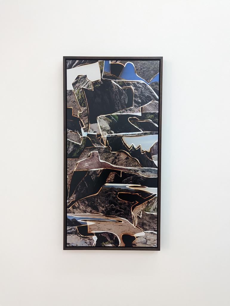 Elizabeth Ransom tweet media