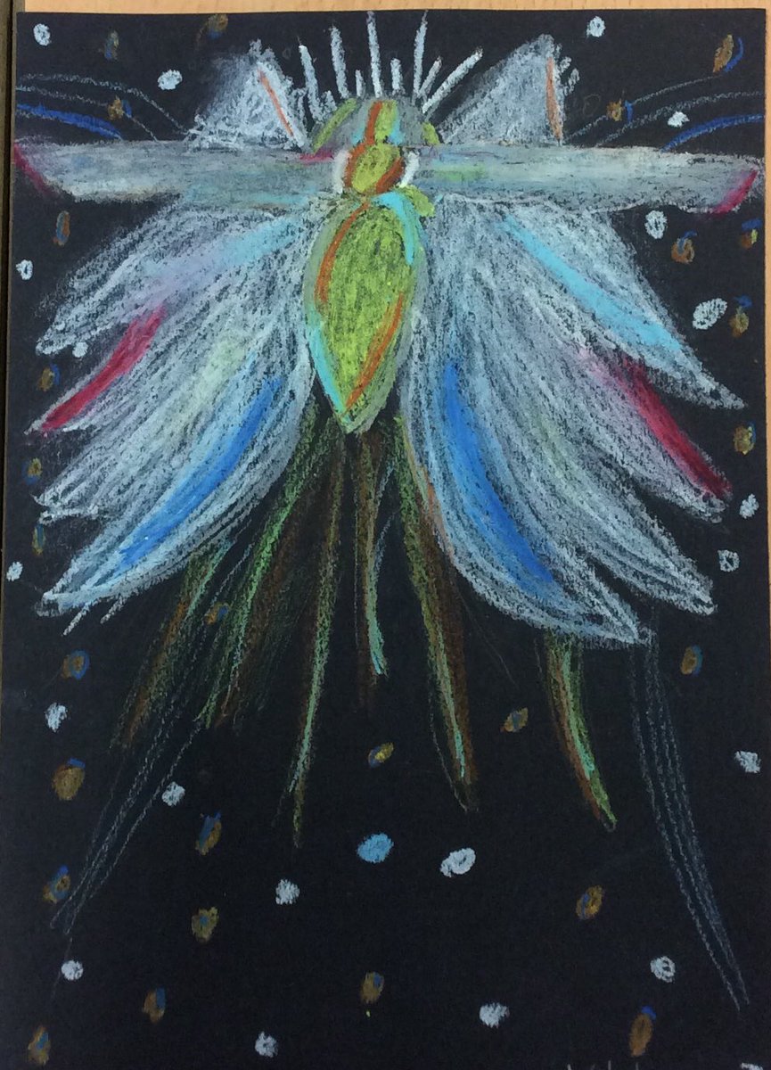 ShadeYear4 tweet media