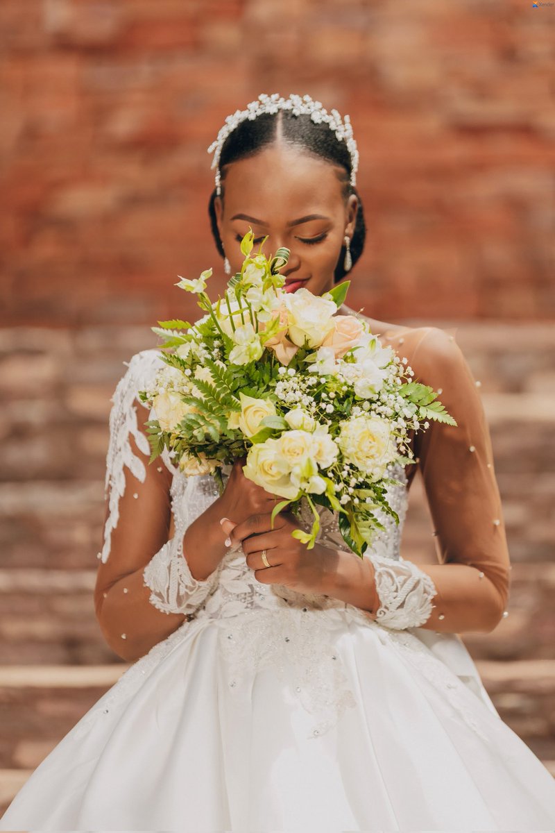 bobjaidens's tweet image. Clear pixel