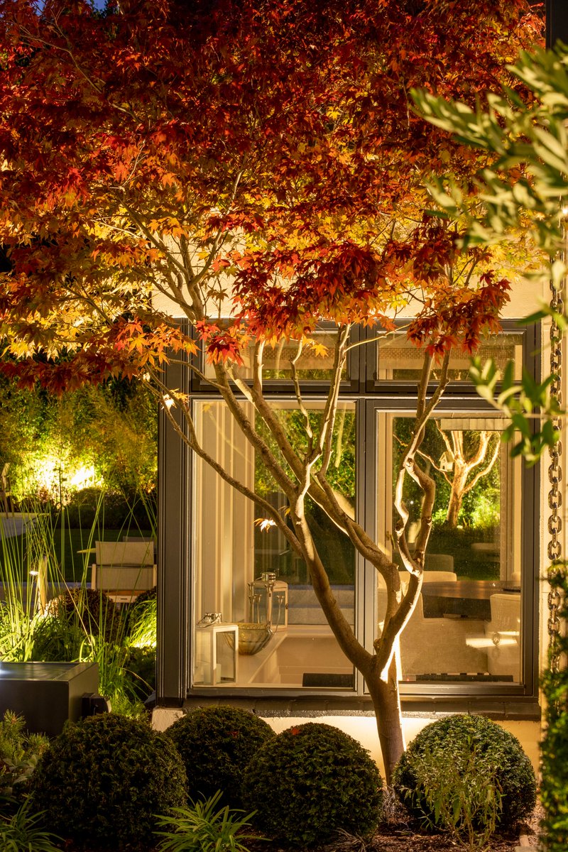 carraghpaving's tweet photo. Strategic landscape lighting,
creating ambience and highlighting textures.
Installed by our expert team!
✍@murphysheanon
📸@mariannemajerus

#landscapelighting #gardenambience #gardendesign #japanesemaple #acerpalmatum #gardenroom https://t.co/daainxJu4E
