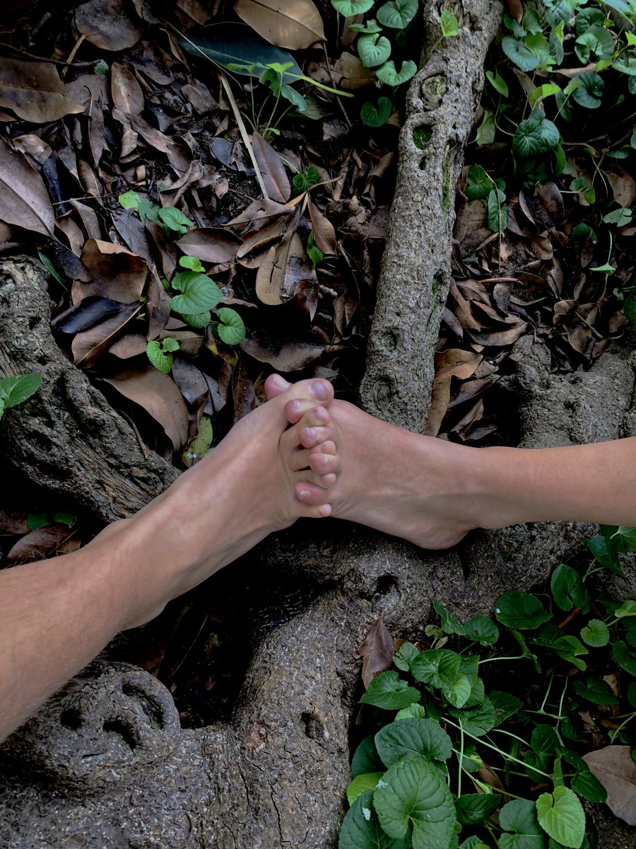 Ist_Svizzero's tweet image. On Tuesday 13.12.2022 H18:00-19:30 current Fellows in #Palermo #MayaHottarek and #LauraBreitschmid will present a #meditation session followed by a #talk on the intersection and relation of human beings, cultivation, history and knowledge.

More info here: istitutosvizzero.it/it/talk/an-aft…