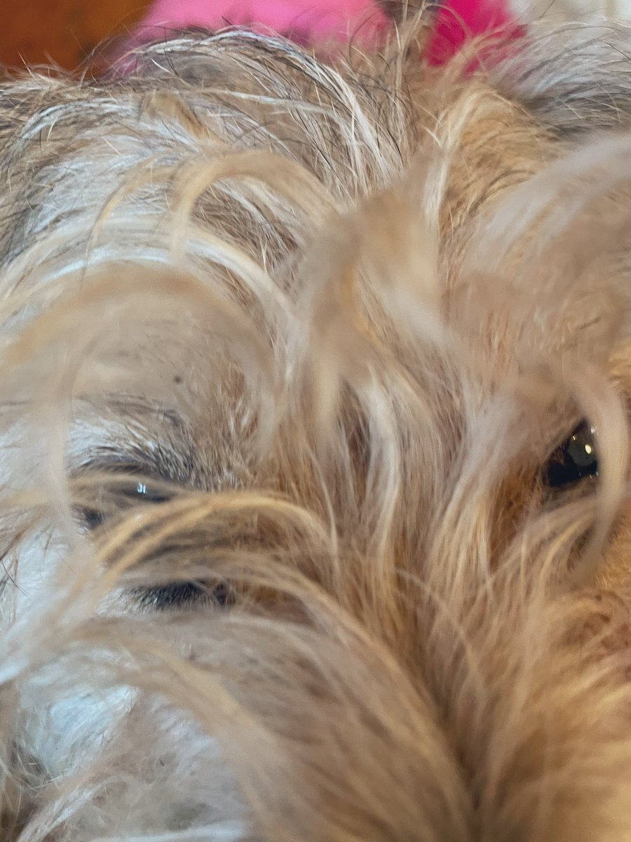 HELLO!!!!!!!!!!!!!1!1!1!1!1!!1