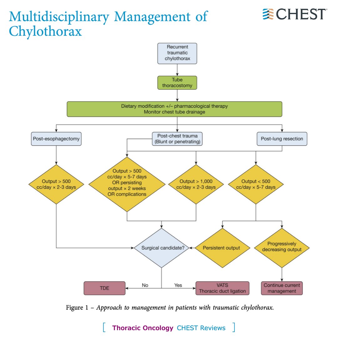 journal_CHEST's tweet photo. A stepwise, evidence-based multidisciplinary approach to the management of chylothorax—a  #CHESTReview from the December issue: https://t.co/nCzwfuJjEG
#CHESTOnc #MedEd https://t.co/dkOgE3PPw0