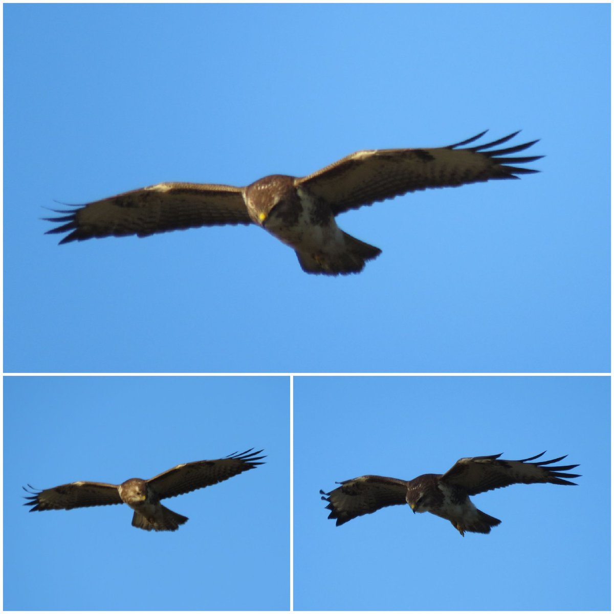 Vrijdagmiddag Ameland