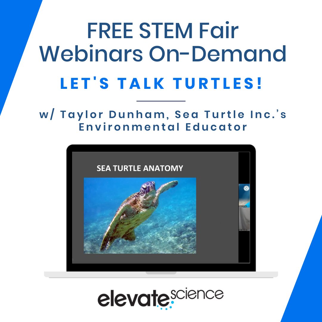 Career Connection: Let’s Talk Turtles! Join Sea Turtle, Inc.’s Environmental Educator, Taylor, as she dives into the world of sea turtle conservation. View the FREE On-Demand STEM Fair Webinar today: ow.ly/wQCz50LZvkF 

#scichat #edchat #ngsschat #ScienceFriday #STEMEd