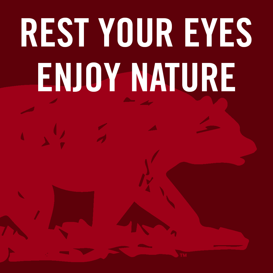 Research shows that walks can increase cognitive function. Make the most of your study time after a great walk.