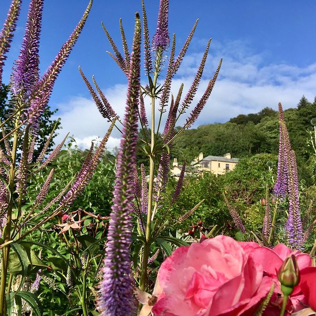 We have a Gardener role available at Brantwood, PM me your email address and I'll send you the details :)