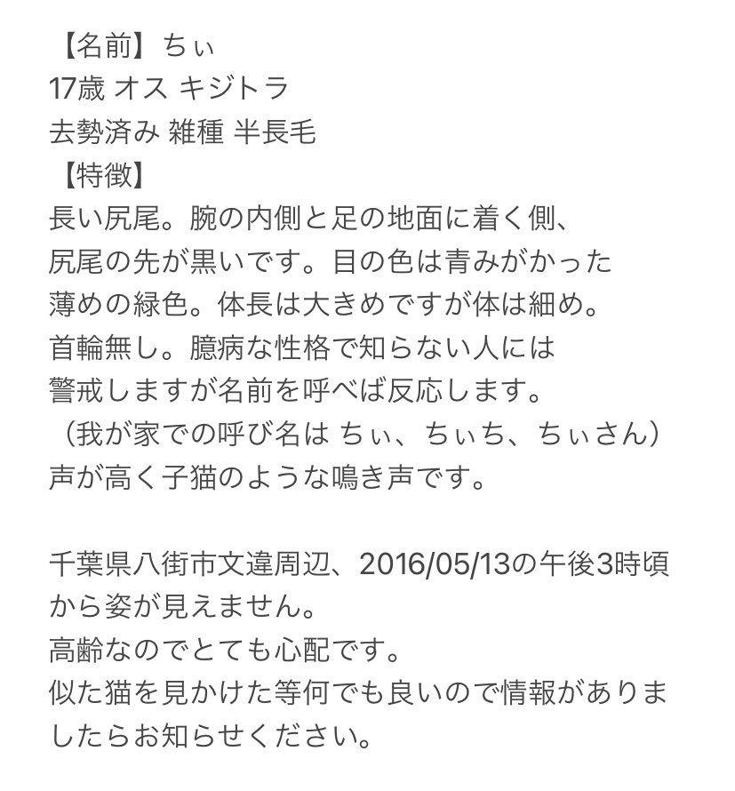 _chii0530's tweet photo. 【拡散希望】猫を探してます。自宅周辺から行方不明です。名前:ちぃ、キジトラ♂。半長毛。口を閉じてもキバが八重歯みたいに見えます。家族以外には人見知りしますが名前を呼べば反応します。似た猫を見た等何でも良いのでどうか情報提供をお願いします。 ＃千葉県 ＃八街市 ＃迷い猫 ＃迷子猫 ＃猫 https://t.co/awXP8zDIUN