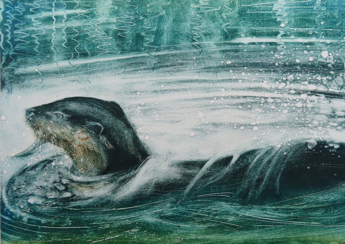 jcurtisart's tweet image. Otter swimming - March in my 2023 calendar - I still have a few available jcurtisart.com/photo_17115393…