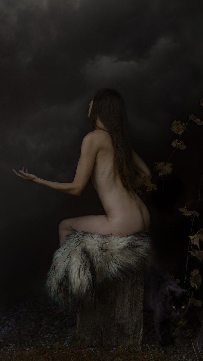 Maria Fynsk Norup 💎🍂 eth/tez tweet media