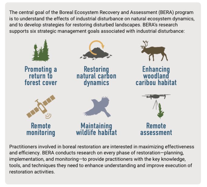 Courtney Miller tweet media