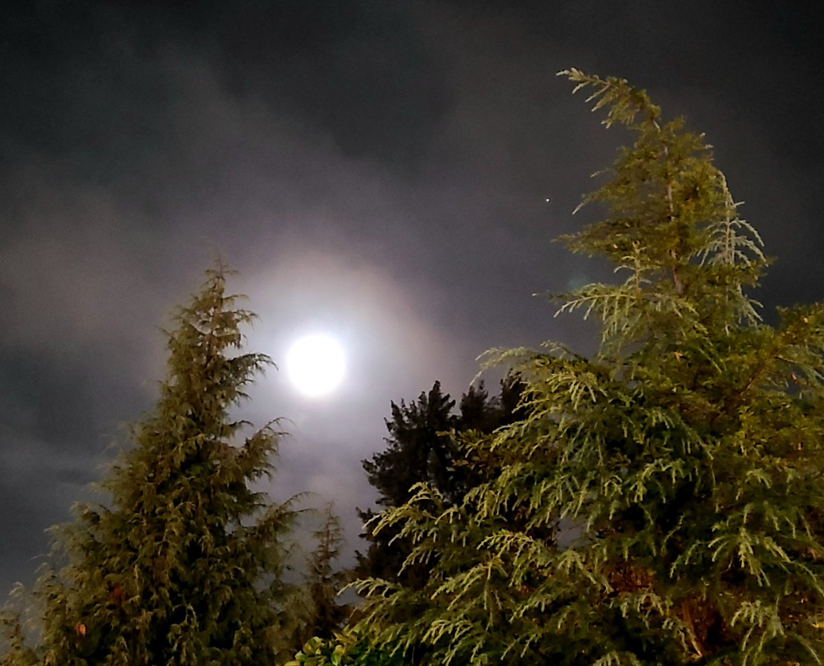 Last nights Full Cold Moon with Jupiter! 
#FullMoon #nightsky #Jupiter #BCStorm #December #fullcoldmoon #Vancouver #moon #Westcoast #StormHour #shareyourweather #rainfree