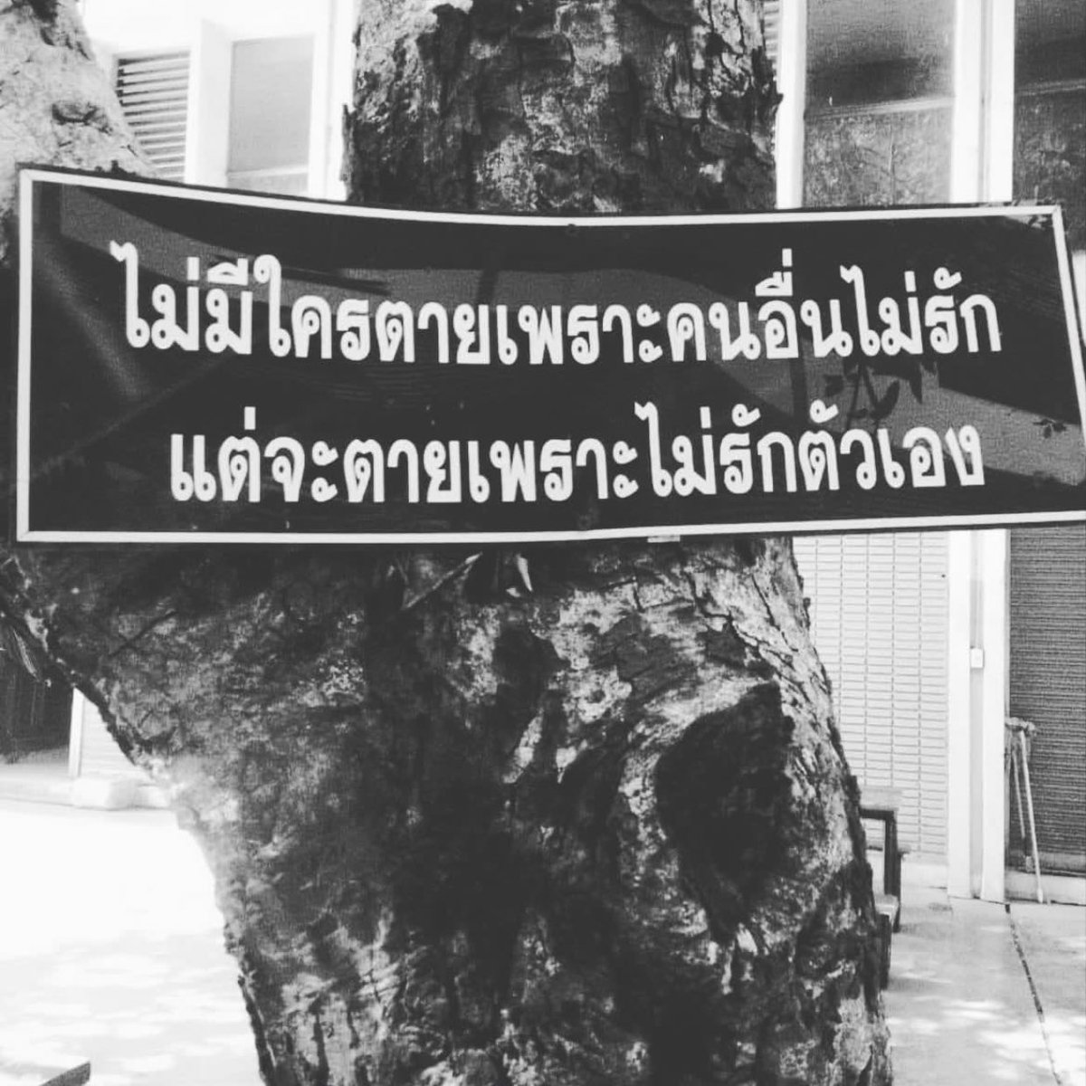 444 tweet media