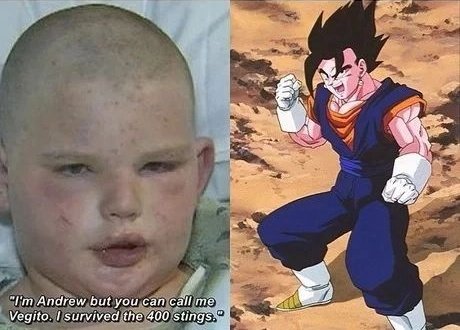 𝐊𝐢𝐧𝐠 𝐒𝐮𝐤𝐮𝐧𝐚 ☢ tweet media