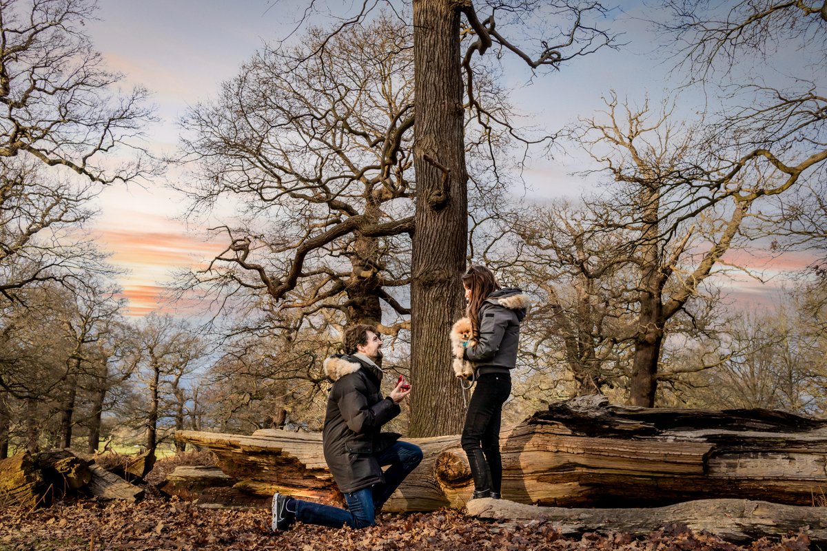 Whiteflash's tweet image. “Who knew I could fall even more in love with you.”

Congratulations Danny &amp;amp; Kay on your engagement! Wishing you many more happy occasions to come💍❤️ #WhiteflashProposal 

#shesaidyes #howheasked #engaged #engagementring