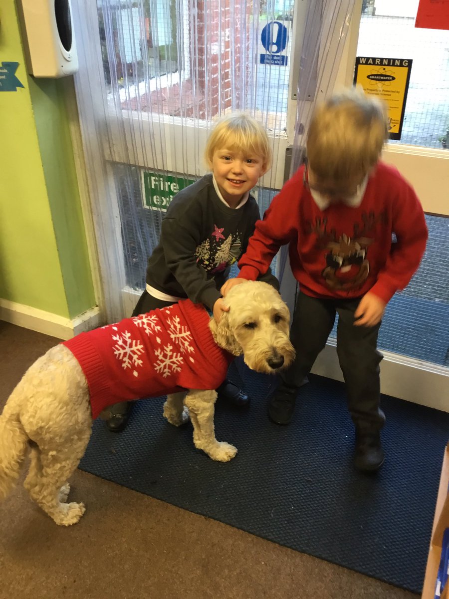 AcornsWhitegate's tweet photo. Even Buddy had his Christmas jumper on! @Buddywhitegate @SchoolWhitegate https://t.co/yp8wjhsJuI