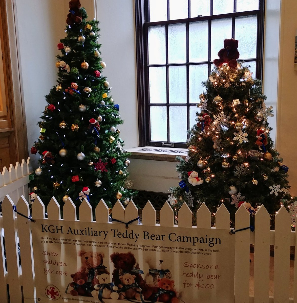 HeatherBreck1's tweet photo. KGH Auxiliary, supporting pediatric patients in our community. @rvanwylick @NewsYgk @Jill_HR @kingstonist @WhigStandard https://t.co/eee5bOguwA
