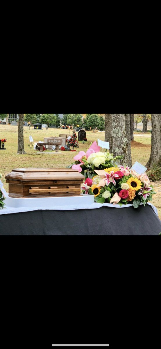 Lo⚡️ tweet media