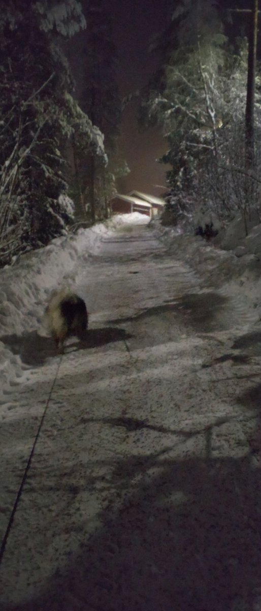 petterin1's tweet photo. #guardaCheLuna #LaLunaLlena #täysikuu #fullmoon #hundegassi
https://t.co/EMReHtxNrp https://t.co/WO21NTxhb5