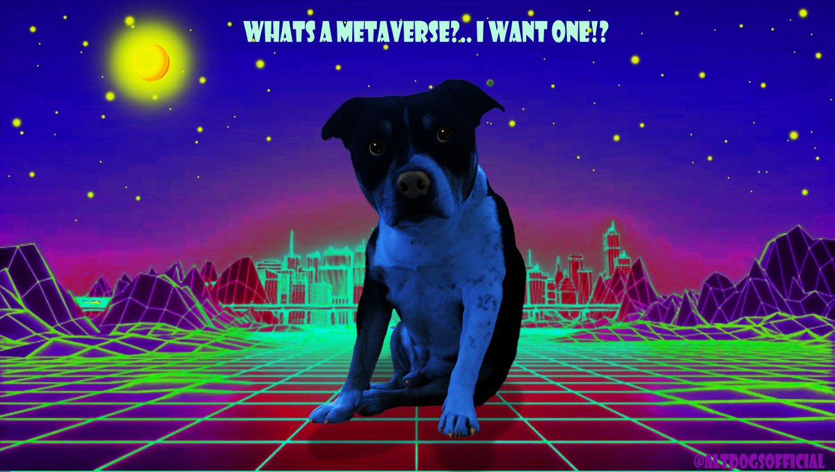 ALTDOGS®- MINTING SOON tweet media