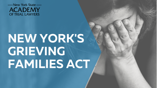 Governor Hochul still has NOT signed the Grieving Families Act into law and we need your help!
Please fill out our online tool and send a message to the Governor today: HopeForNYfamilies.com