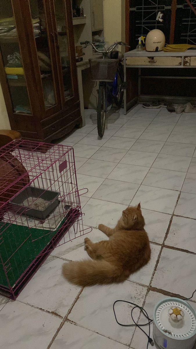 yonathan_sudj's tweet photo. @kochengfs https://t.co/z5xXO2CYdW