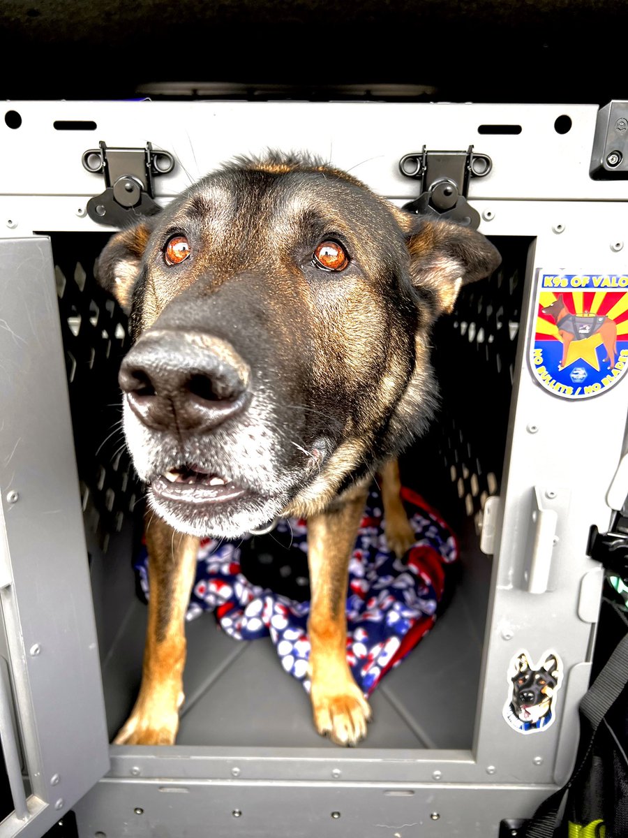 Tyler and K9 Arlo tweet media