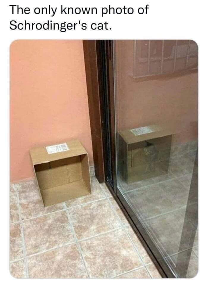 AnaAdamantium's tweet image. 