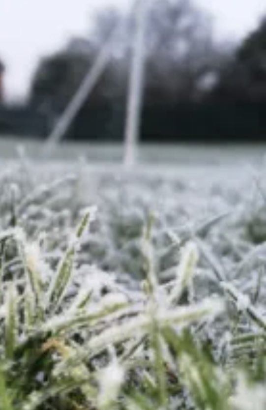 Sheepmount tweet media