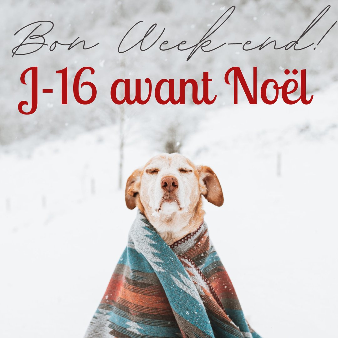 FRSimply's tweet photo. On vous souhaite un bon week-end !!! 🎄🐶🎅
.
.
.
.
#sante #bienetre #simplysupplements #simplysupplementsfrance #healthylife #healthylifestyle #complements #weekend
#onlineshopping #marketing #marketingdigital #promo #socialmedia #digitalmarketing https://t.co/TiyoDt3Mh4