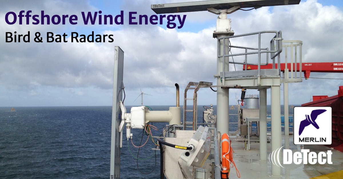 DeTect__Inc's tweet image. DeTect&apos;s offshore bird and bat radar systems offer avian radar data processing, analysis &amp;amp; reporting, bird &amp;amp; bat mortality risk assessment and bat detection &amp;amp; tracking radars along with much more which you can find here: detect-inc.com/wind-energy-bi…

#offshore #windprojects