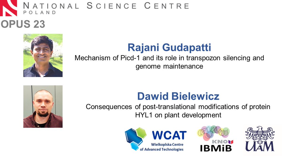 Biology at CAT Poznań (@biocat_poz) on Twitter photo 2 OPUS <a href="/NCN_PL/">Narodowe Centrum Nauki</a> grants were awarded to biologists <a href="/BioCAT_Poz/">Biology at CAT Poznań</a> !!! Congratulations to Rajani Gudipatti <a href="/GudipattiRK/">Rajani Gudipatti</a> & Dawid Bielewicz <a href="/plantrnagroup/">plantRNAgroup(at)AMU</a> ! 2 OPUS <a href="/NCN_PL/">Narodowe Centrum Nauki</a> grants were awarded to biologists <a href="/BioCAT_Poz/">Biology at CAT Poznań</a> !!! Congratulations to Rajani Gudipatti <a href="/GudipattiRK/">Rajani Gudipatti</a> & Dawid Bielewicz <a href="/plantrnagroup/">plantRNAgroup(at)AMU</a> !