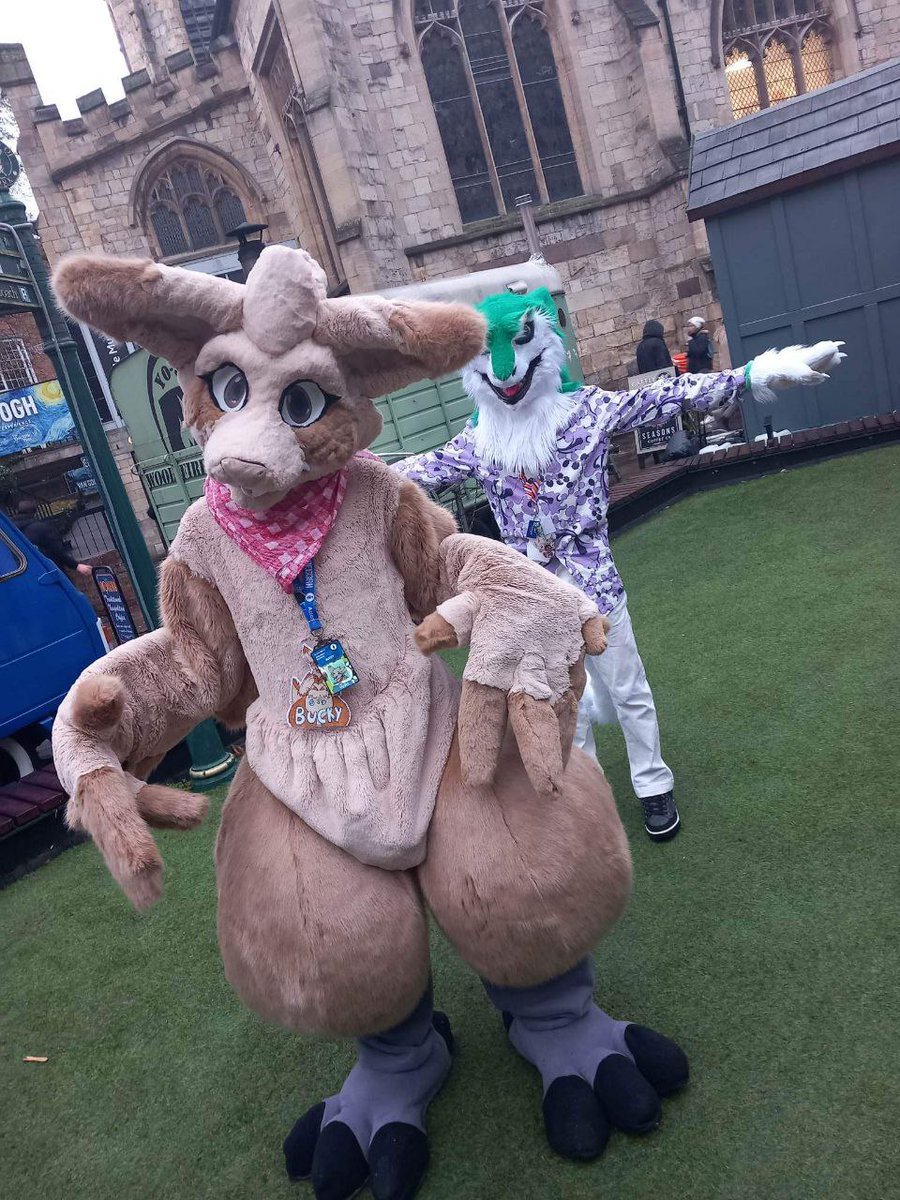 Happy #FursuitFriday everyone! Here's my 4 favourite photos from the <a href="/york_furs/">YorkFurs</a> winter furmeet! And a special thanks to @rhydianlawrence for letting me try on his fursuit head!