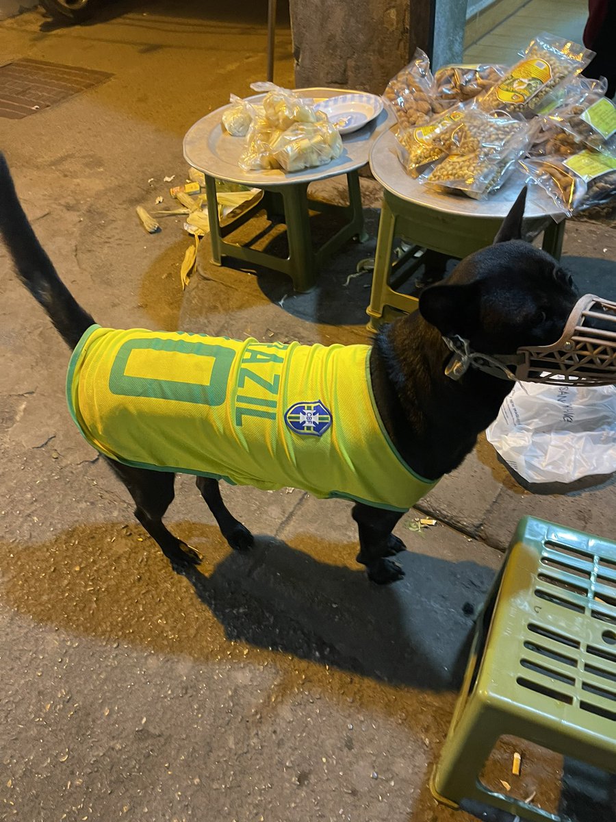 thanhjc's tweet photo. Goalllll!!!!!! Bra 1-0 Cro
#neymarjr #bra #Brazil #WC2022 #neymar #Neymar_Jr #football #wc https://t.co/ZJ1BbjfnL0
