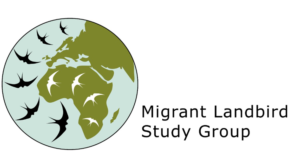 Interested in migration? The MLSG will be hosting a symposium on migratory land bird research in Lund, August 21st 2023 - the day before the EOU conference. For further details see the EOU website: cutt.ly/v0ycWIP #EOU2023 #ornithology