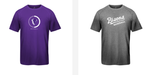 Lipscomb Baseball tweet media