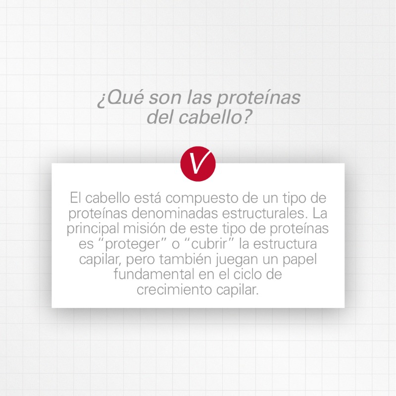 svensones's tweet photo. Conoce la importancia de las proteínas en nuestro cabello y su misión. 

Más información a través del siguiente enlace  👉 https://t.co/ub5LM3Yklx