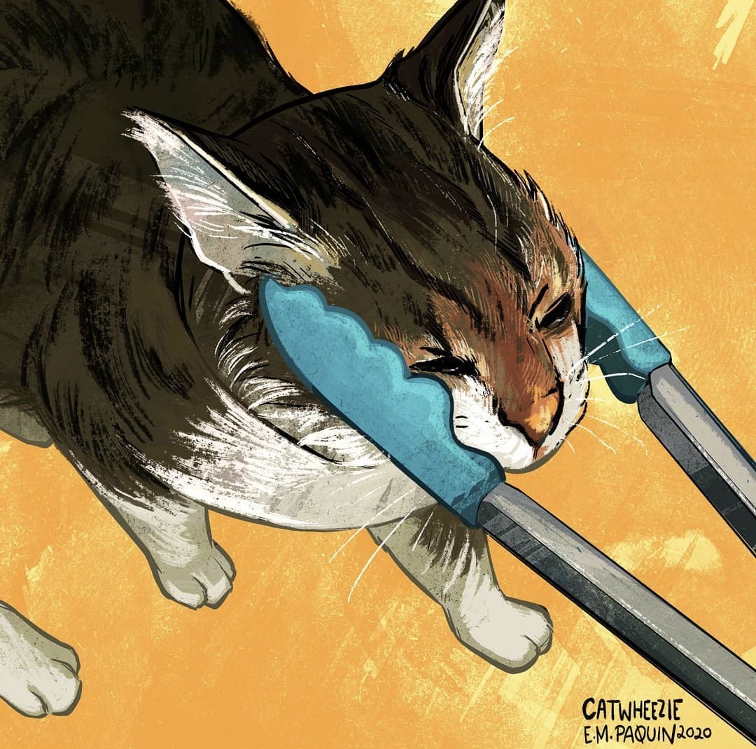 catwheezie's tweet image. Salad