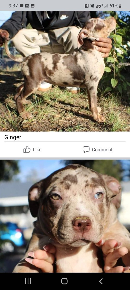 nate_wrenn21's tweet image. Ok folks i need name suggestions for my baby girl.