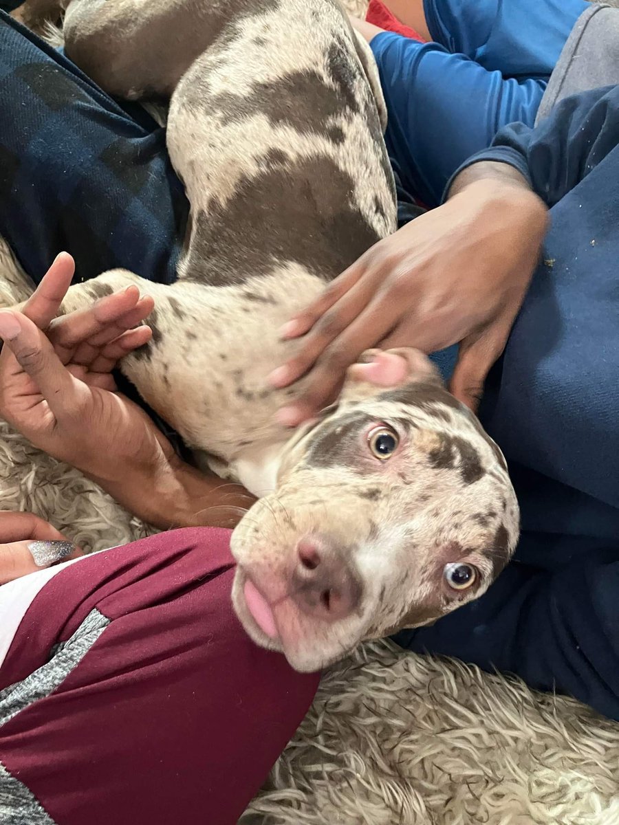 nate_wrenn21's tweet image. Ok folks i need name suggestions for my baby girl.