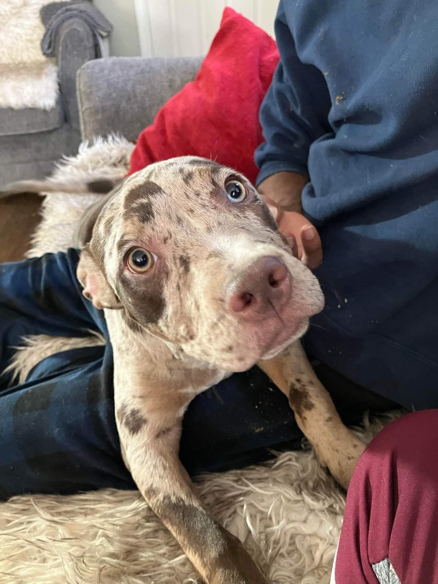 nate_wrenn21's tweet image. Ok folks i need name suggestions for my baby girl.