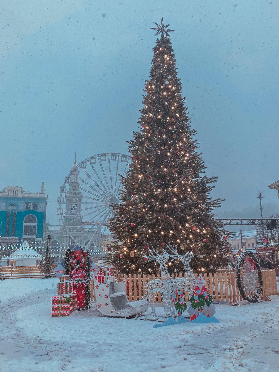 At The Real Christmas Tree Farm, we like to spread the Christmas spirit of our real trees anywhere in our local area, including your business. We can supply decorated trees for any kind of indoor or outdoor use! ☃️

#corporate #christmas #christmastree #berkhamsted