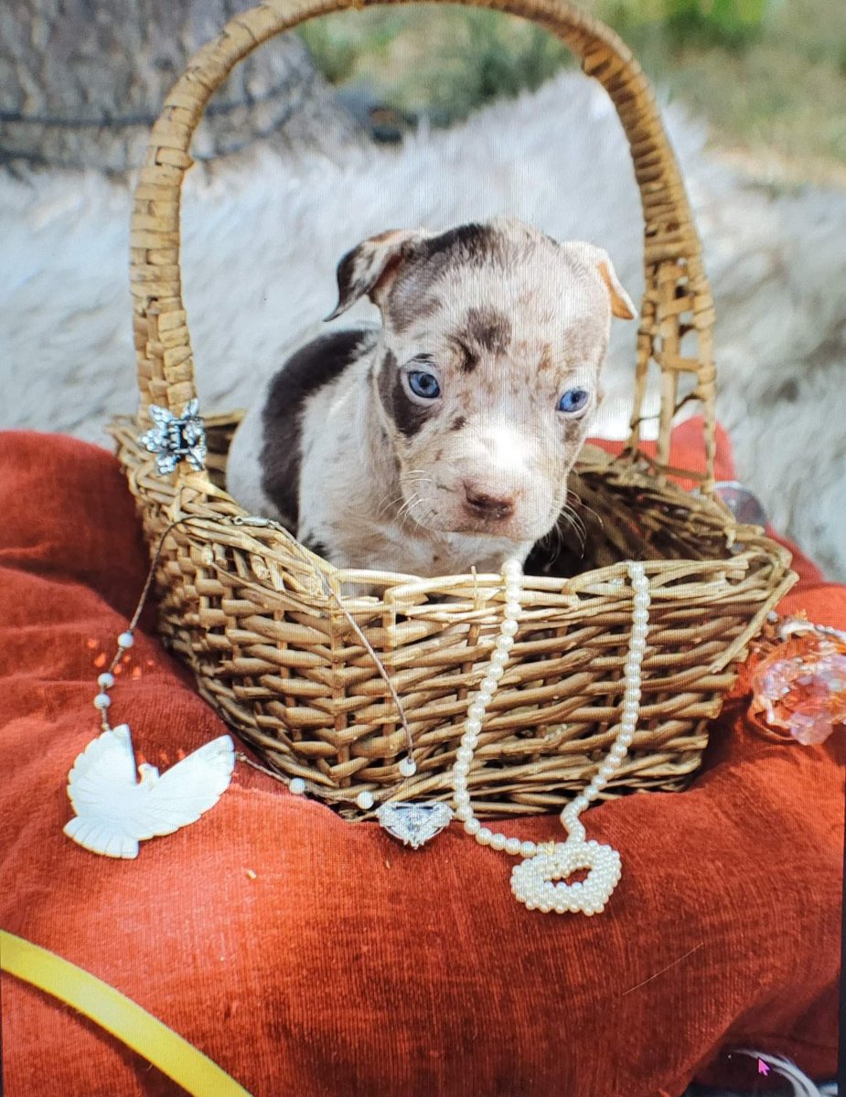 nate_wrenn21's tweet image. Ok folks i need name suggestions for my baby girl.