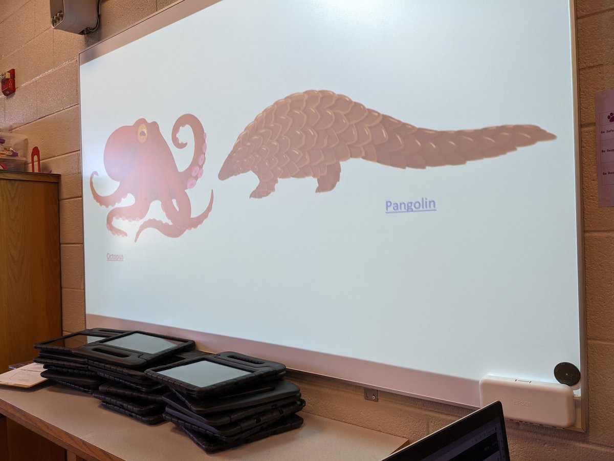 Sabrina Tucker (@tucker_library) on Twitter photo This week second grade is listening to How to Be an Earthing from Tinkercast. They had the choice between the octopus and pangolin episode and are loving the music! <a href="/BristowRunES/">Bristow Run ES</a> <a href="/wowintheworld/">Wow in the World</a> This week second grade is listening to How to Be an Earthing from Tinkercast. They had the choice between the octopus and pangolin episode and are loving the music! <a href="/BristowRunES/">Bristow Run ES</a> <a href="/wowintheworld/">Wow in the World</a>