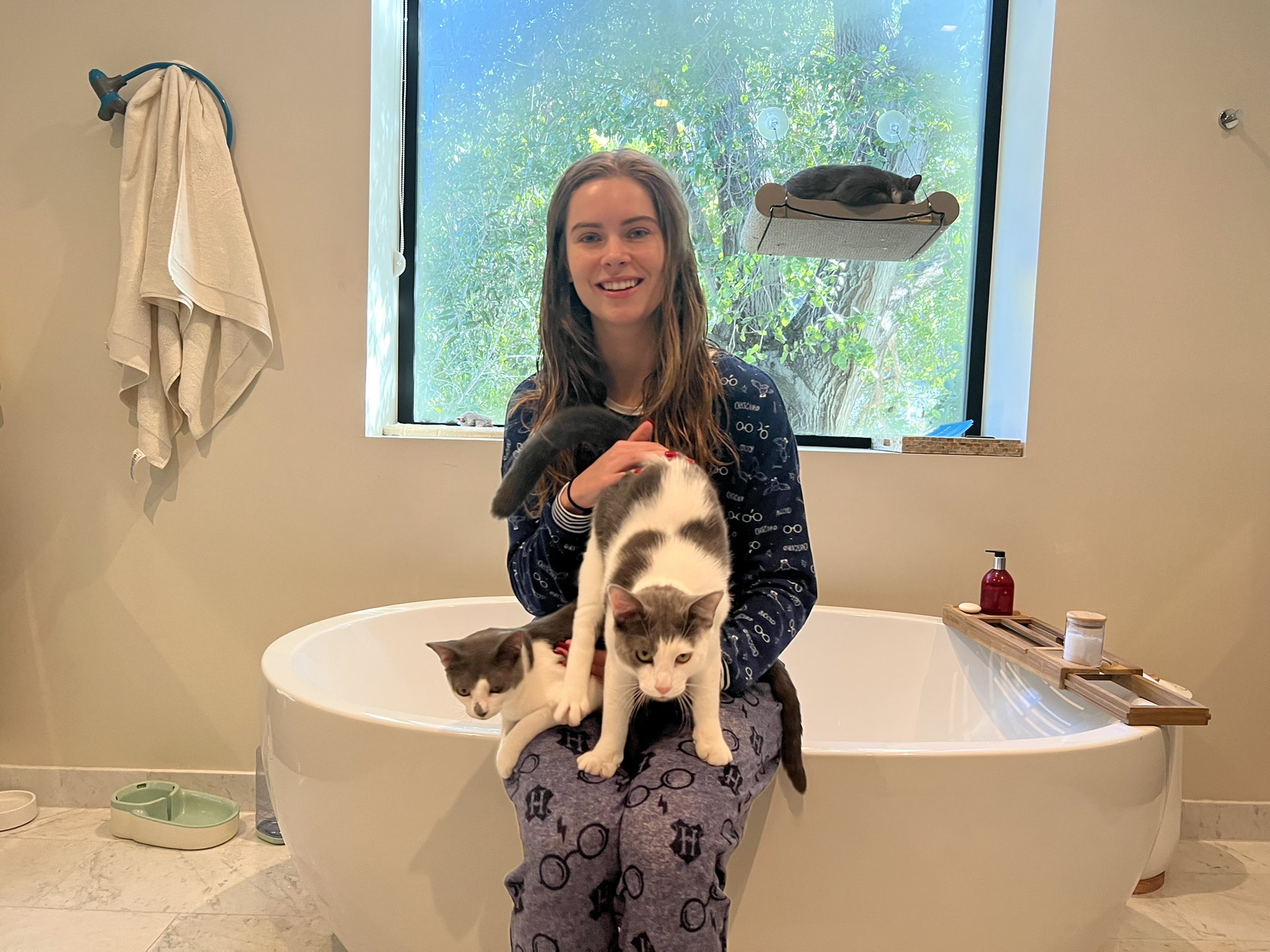 Brandy Gordon on Twitter "I love my kitties https//t.co/Geh9YsYvB4