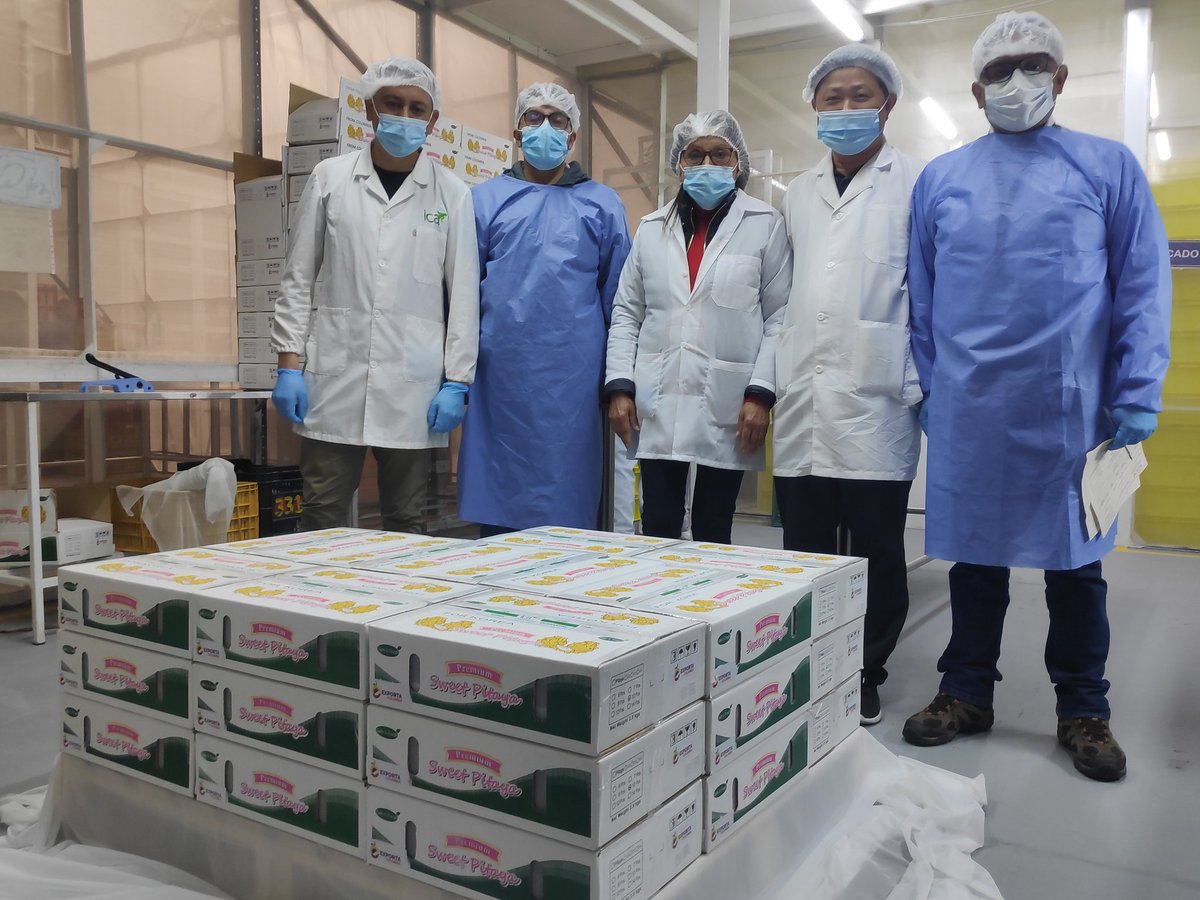 BorisOrduz's tweet photo. Aprobada extensión en la exportación de pitaya amarilla de 🇨🇴 a Corea de Sur. Un voto de confianza al trabajo del @ICACOLOMBIA, en beneficio de todos los productores del pais. @CeciliaLopezM #apqa @MinAgricultura @AnaldexColombia
@MincomercioCo @Asohofrucol @PROCOLOMBIACO https://t.co/J3TUlJfohn